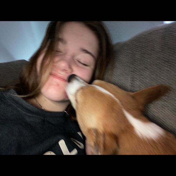 Meet your Posher, Logan - Picture 1 of 1